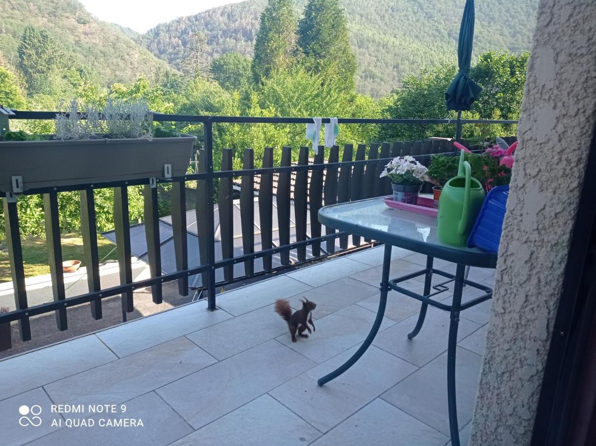 Bed and Breakfast Les Ecureuils Revin  Esterno foto
